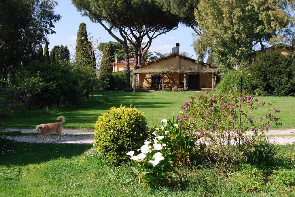 Casa Vacanze Vigna Di Valle Bracciano  Habitación foto