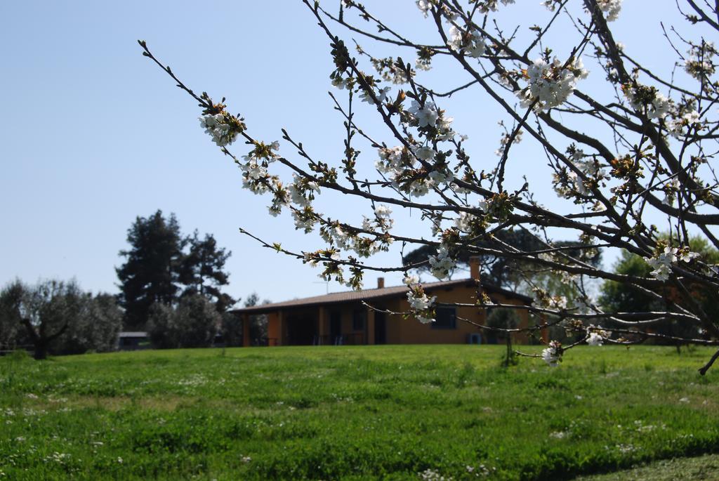 Casa Vacanze Vigna Di Valle Bracciano  Habitación foto