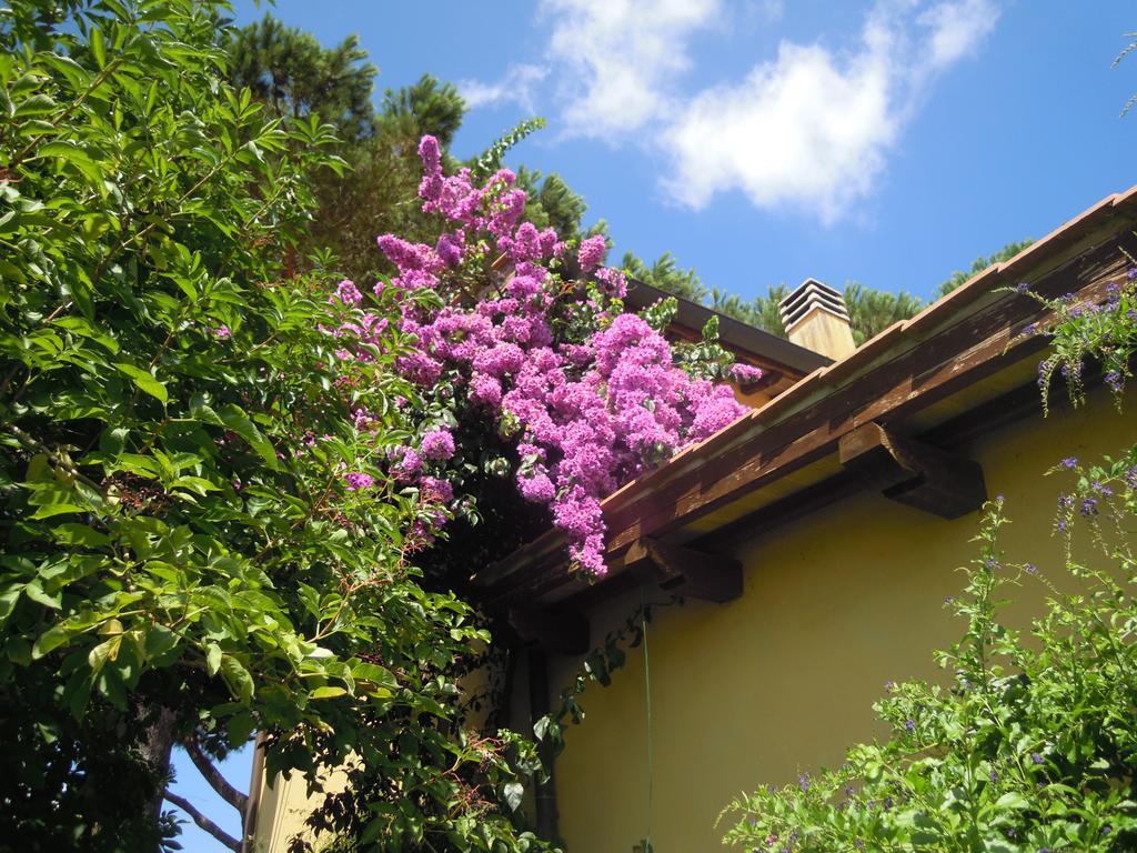 Casa Vacanze Vigna Di Valle Bracciano  Habitación foto
